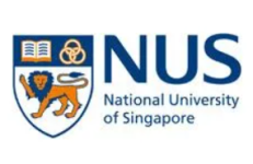 national university of singapore logo